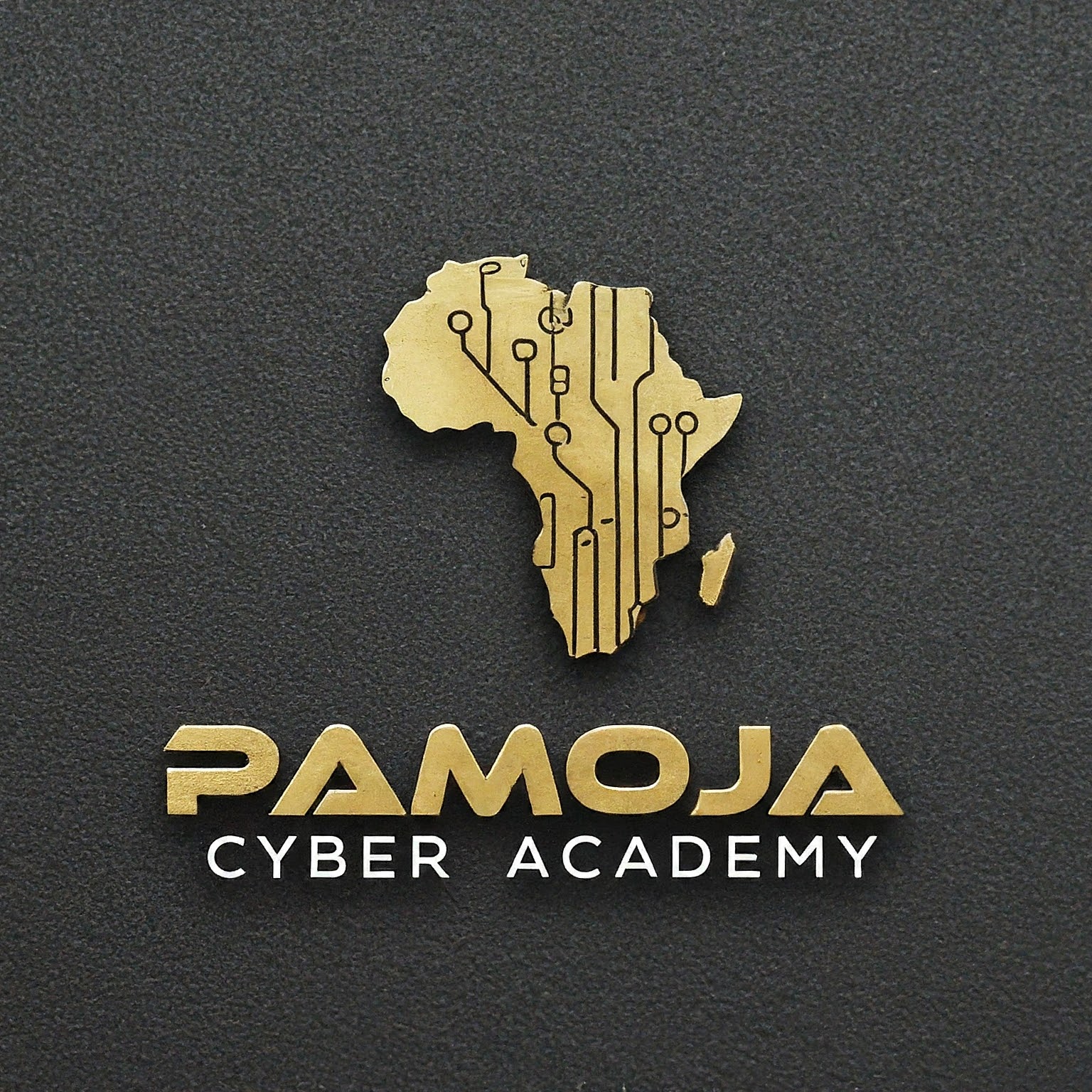 Pamoja Cyber Academy logo - gold Africa continent with circuit board pattern
